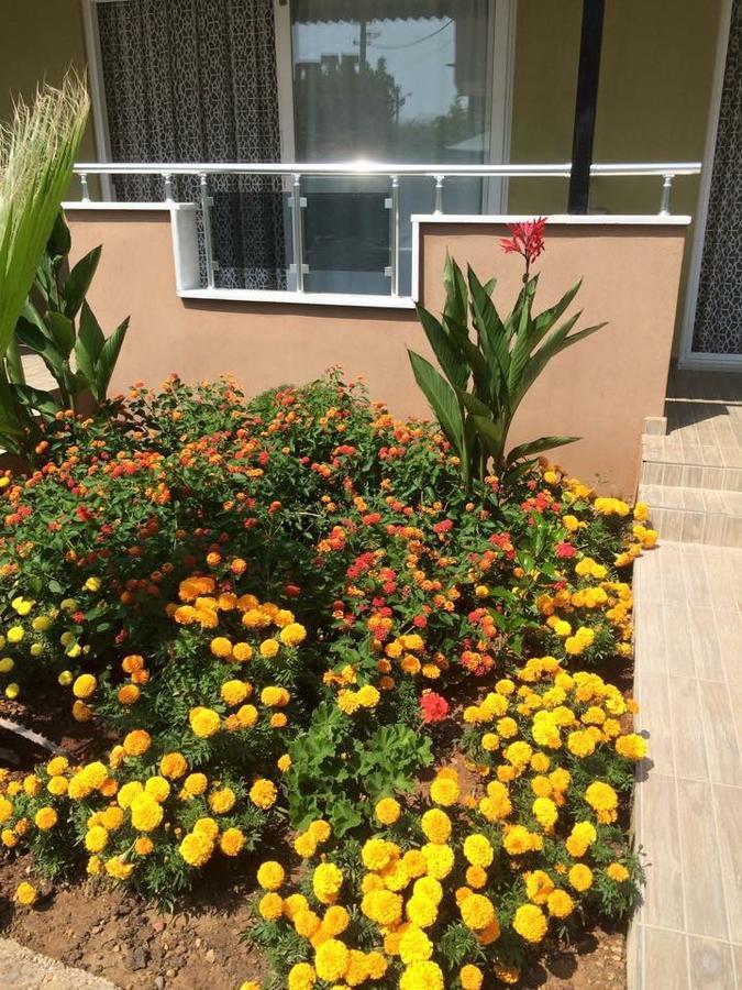 Esmeralda Apart Butik Otel Kızılot Dış mekan fotoğraf