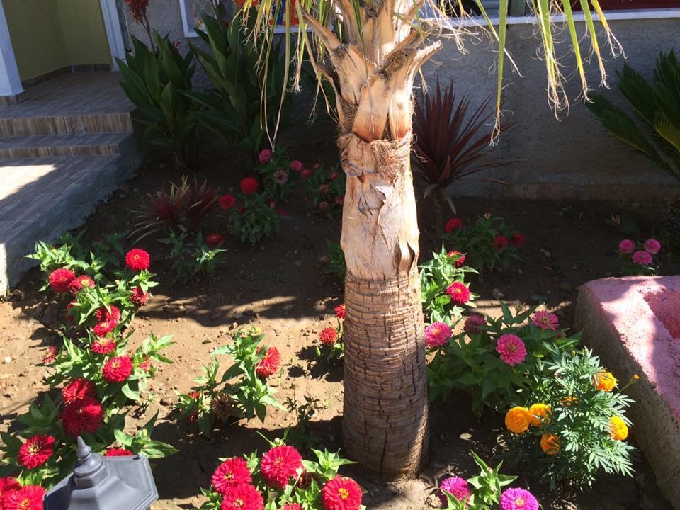 Esmeralda Apart Butik Otel Kızılot Dış mekan fotoğraf
