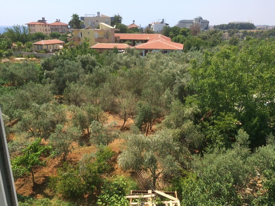Esmeralda Apart Butik Otel Kızılot Dış mekan fotoğraf